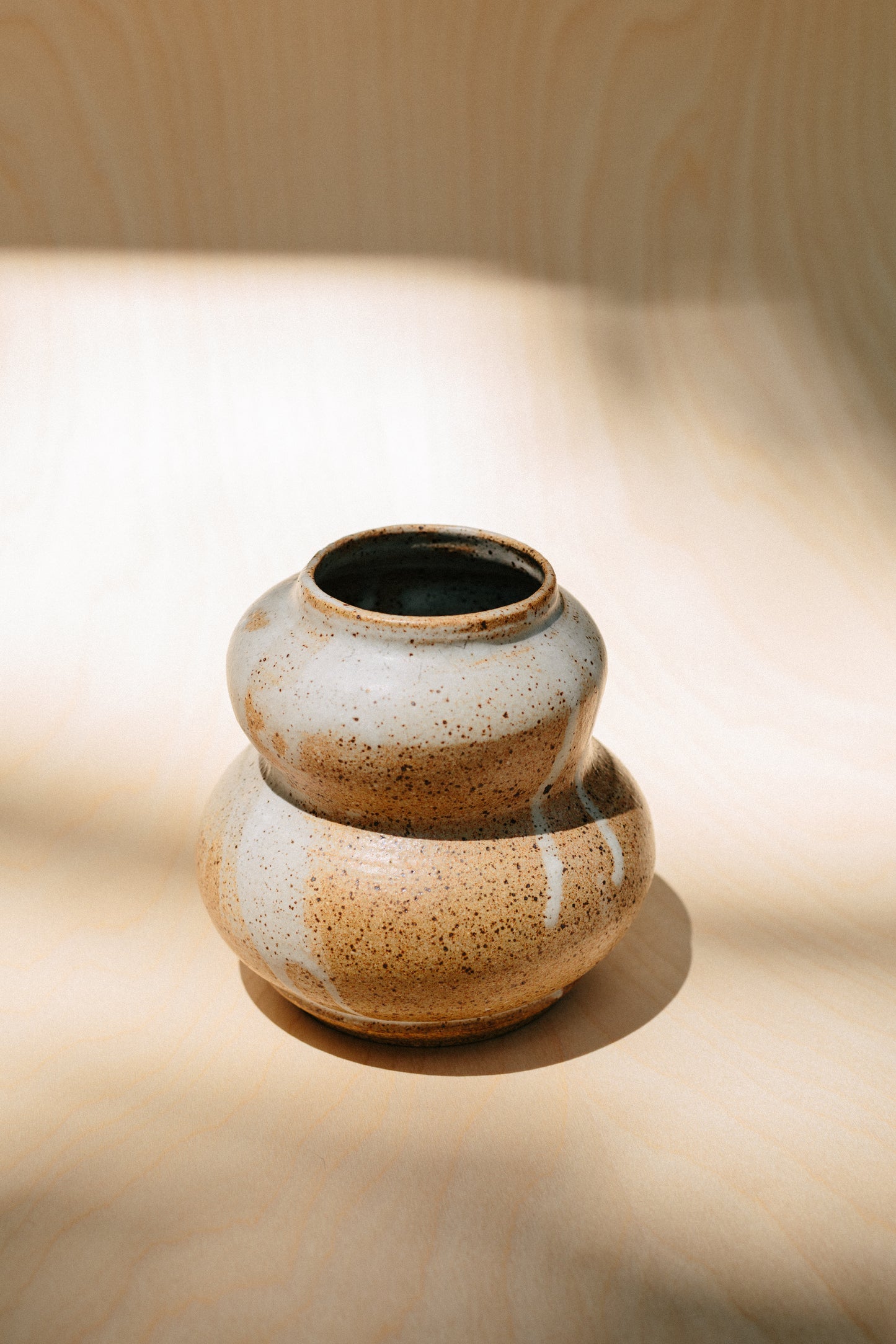 Speckled Vase with Curves