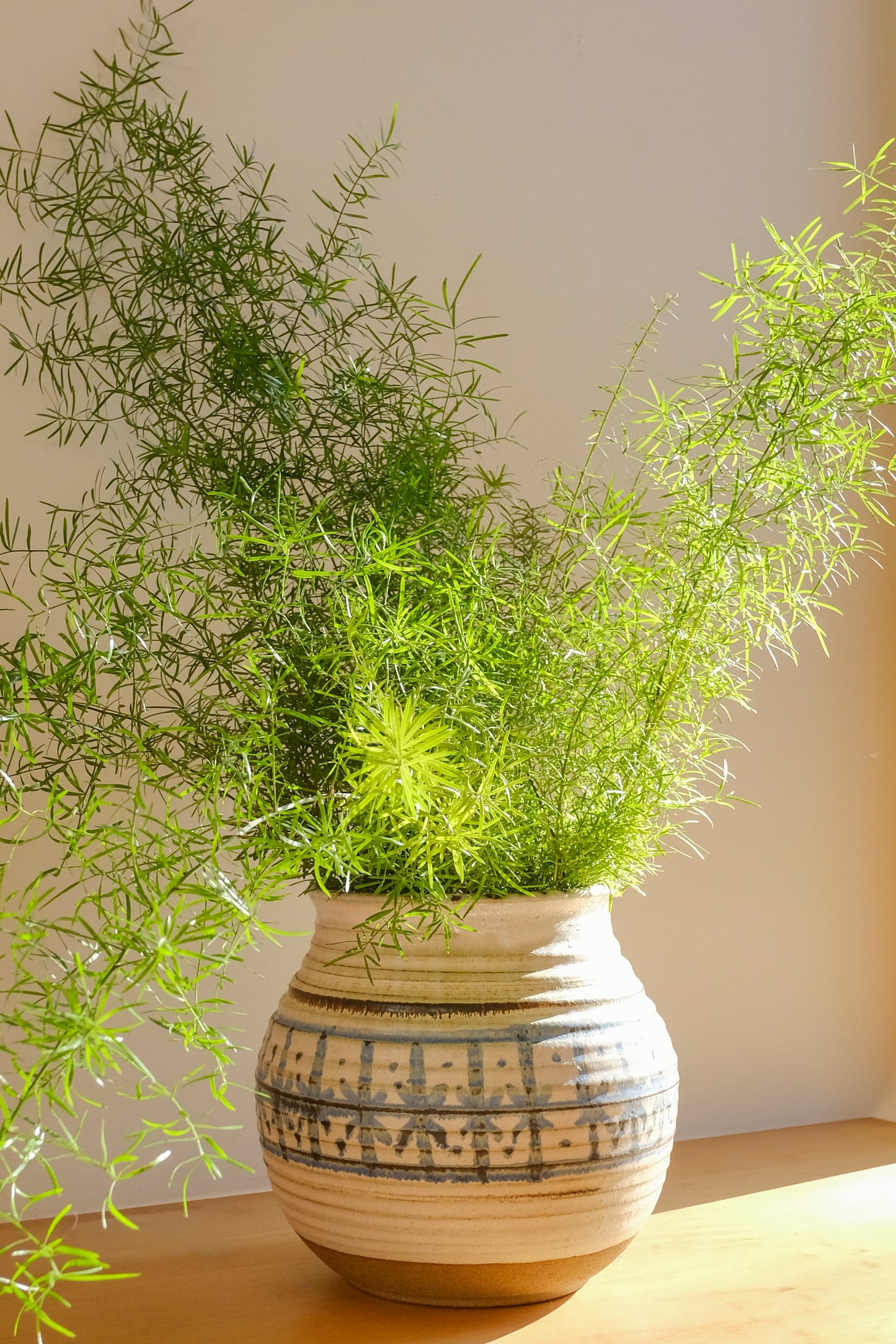 Starprint Pot